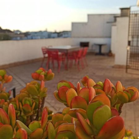 Atardeceres Surenos - Gran Terraza - Parking Jerez de la Frontera Exteriör bild